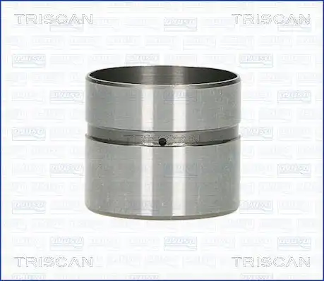 Гидрокомпенсатор TRISCAN 80-43002