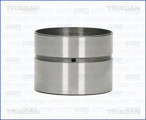 Гидрокомпенсатор TRISCAN 80-29007