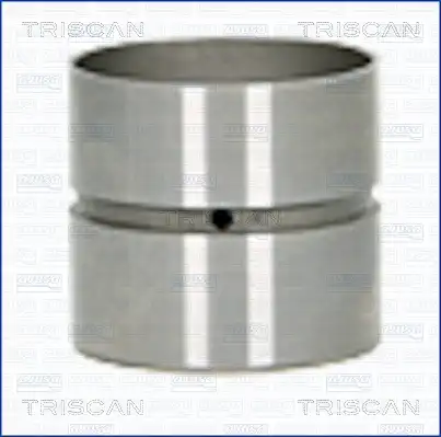Гидрокомпенсатор TRISCAN 80-25007