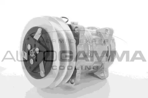 компрессор кондиционера \SAME 108890 AUTOGAMMA