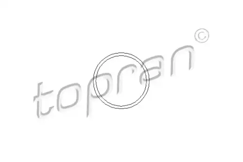 прокладка помпы Opel 202 288 HANS PRIES