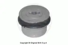 BIRTH 2593