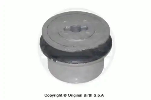 BIRTH 2593