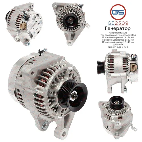 Генератор GS GE2509