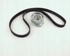 ремкомплект ГРМ Audi 8647 29022 TRISCAN