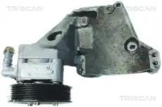 Насос гидроусилителя руля TRISCAN 8515 24612
