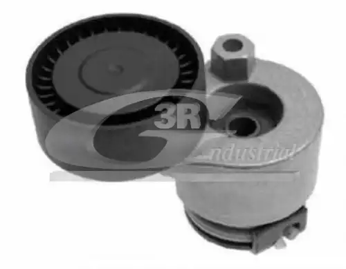 ролик натяжной Ren 13650 3RG