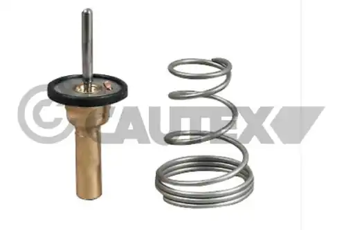 шланг тормозной задн. Citr 31280 CAUTEX