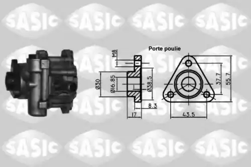 Насос гидроусилителя руля SASIC 7076001