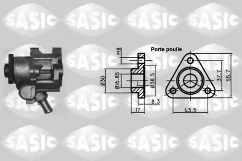 Насос гидроусилителя руля SASIC 7076022