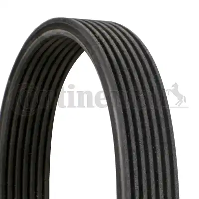 CONTINENTAL 7DPK2569