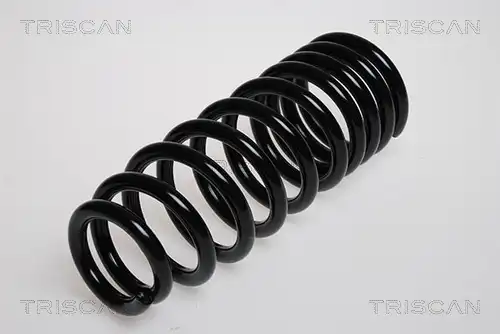 Пружина 8750 4240 TRISCAN