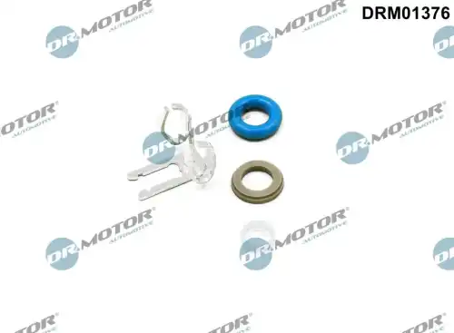 Ремкомплект, распылитель DRM01376 DR. MOTOR
