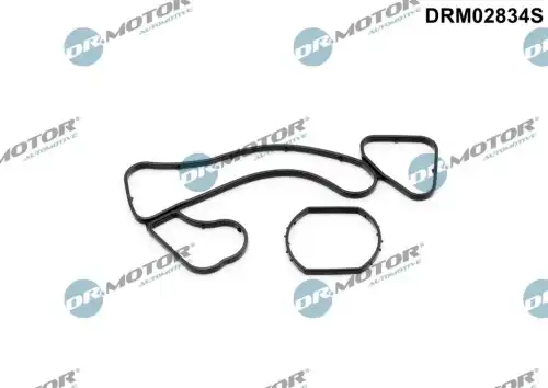 Прокладка, масляный радиатор DRM02834S DR. MOTOR