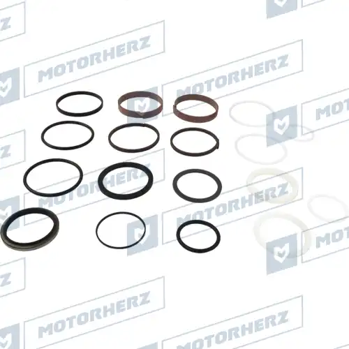 100XA0145CP Ремкомплект гидроцилиндра СТ MOTORHERZ