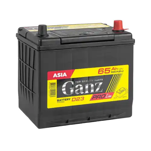 Аккумулятор GANZ G1170650
