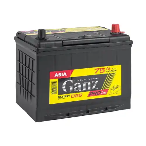 Аккумулятор GANZ G1180750