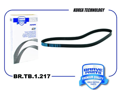 BRAVE BR.TB.1.217