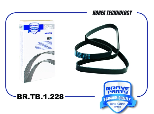 BRAVE BR.TB.1.228