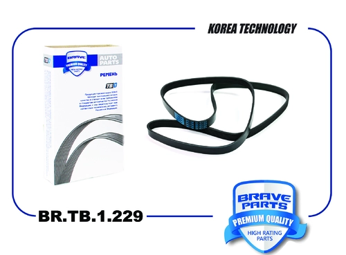 BRAVE BR.TB.1.229