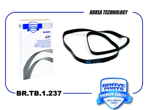 BRAVE BR.TB.1.237