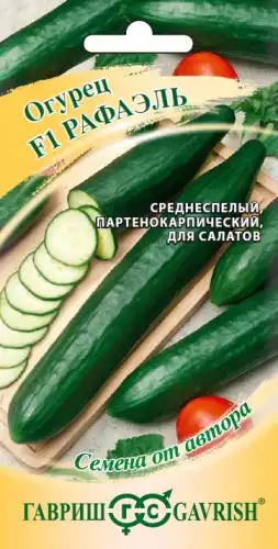 ОГУРЕЦ РАФАЭЛЬ АВТОР 002737 ГАВРИШ
