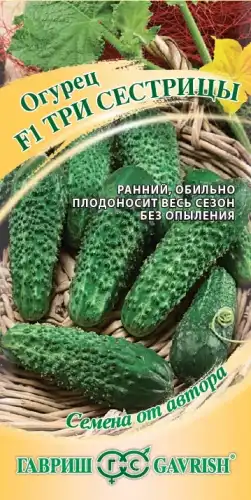 ОГУРЕЦ ТРИ СЕСТРИЦЫ АВТОР 191223283 ГАВРИШ