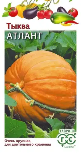 ТЫКВА АТЛАНТ Н 1071859909 ГАВРИШ