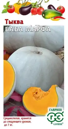 ТЫКВА БАБА МАРФА Н 1071854232 ГАВРИШ