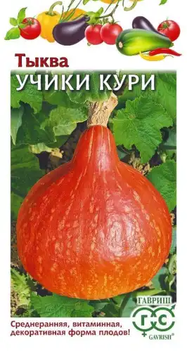 ТЫКВА УЧИКИ КУРИ Н 1070007983 ГАВРИШ