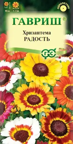 ХРИЗАНТЕМА РАДОСТЬ 10001814 ГАВРИШ