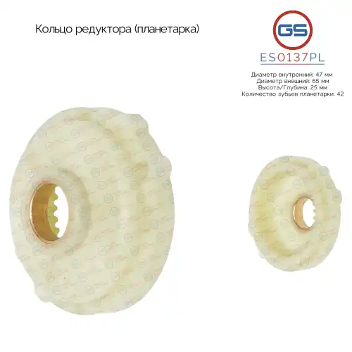ES0137PL Кольцо редуктора (планетарка) GS