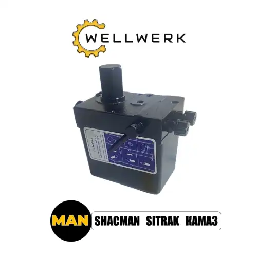 Насос подъема кабины WELLWERK WW5002001