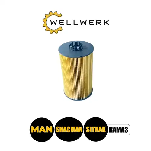 Фильтр масляный WELLWERK WW1012001