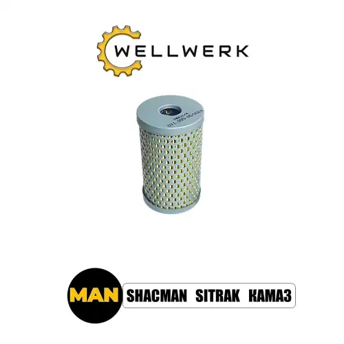 Фильтр масляный WELLWERK WW1012002