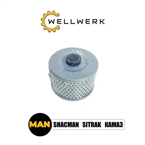 Фильтр масляный WELLWERK WW1012003