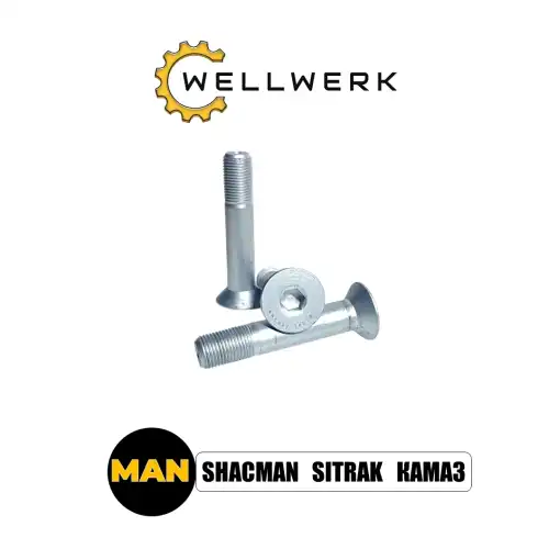 Болт крепления стабилизатора WW2920002 WELLWERK