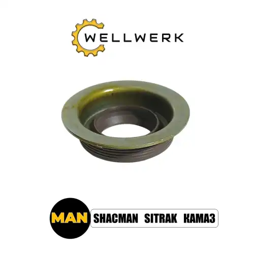 Сальник делителя WW2916006 WELLWERK