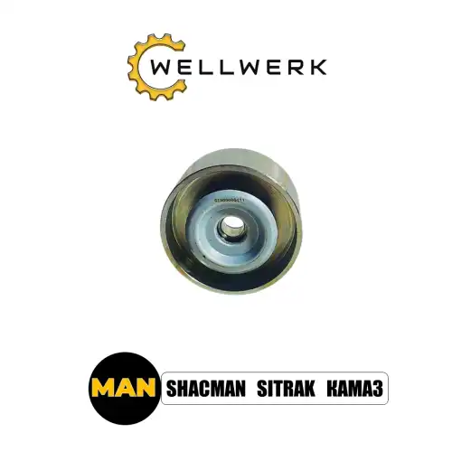 Ролик обводной WW1029005 WELLWERK