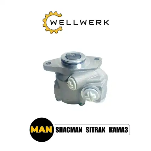 Насос гидроусилителя руля WELLWERK WW3407002