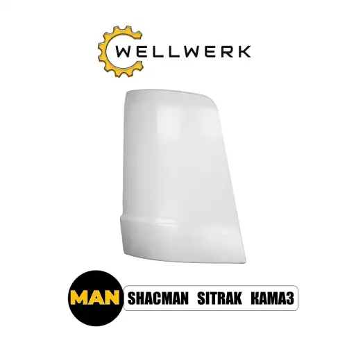 Дефлектор кабины WW8402008 WELLWERK