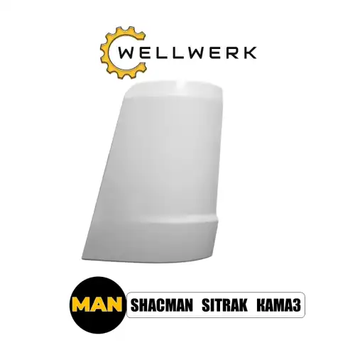 Дефлектор кабины WW8402009 WELLWERK