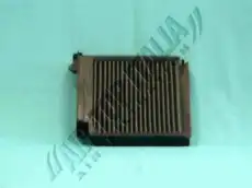Салонный фильтр ZAFFO Z480
