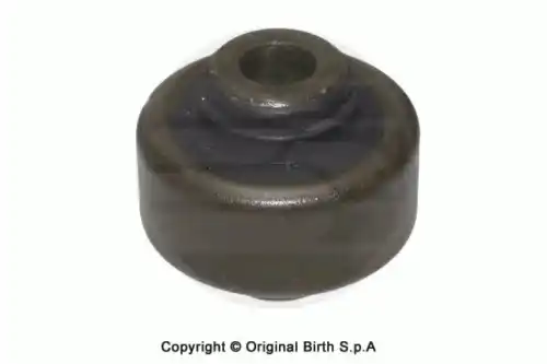 2595, САЙЛЕНТБЛОК BIRTH, КНР