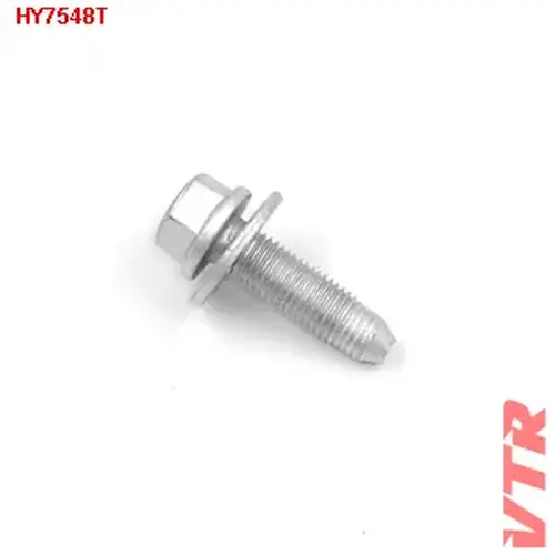 HY7548T Болт крепления амортизатора VTR
