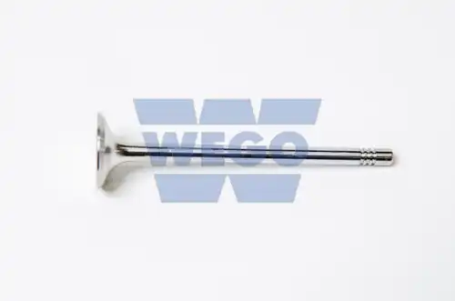 клапан выпускной W1010190 WEGO