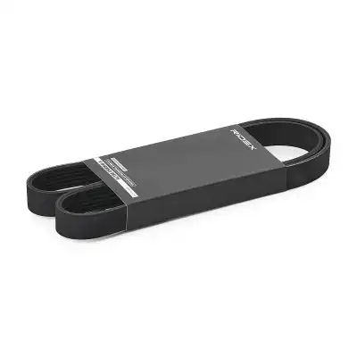 RIDEX 305P0295