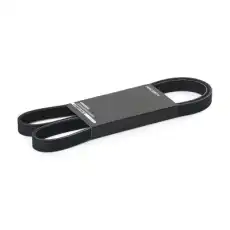 RIDEX 305P0346