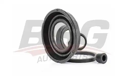 РЕМКОМПЛЕКТ СУППОРТА З КО BSG 30-251-015 BSG
