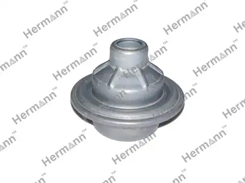 HR1675941280 Клапан насоса HERMANN